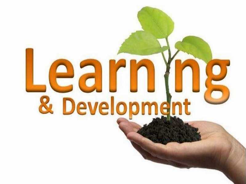 Preview image for blog post entitiled Lack Of Learning And Development Causing Workers To Quit