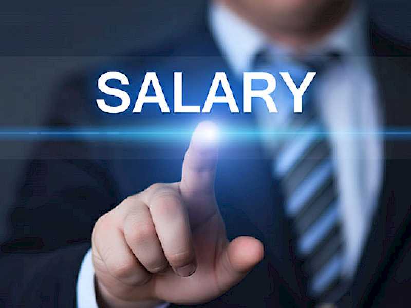 Preview image for blog post entitiled What Do Professionals Value Most?