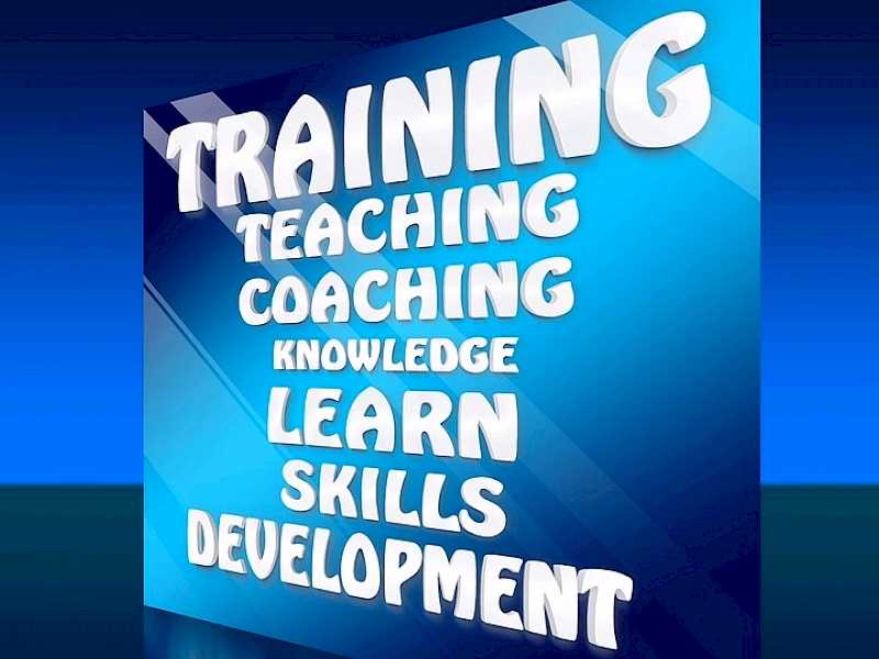 Preview image for blog post entitiled Best Professions For Personal Development