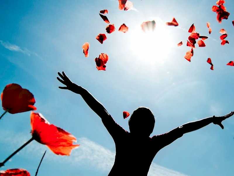 Preview image for blog post entitiled Employee Wellbeing