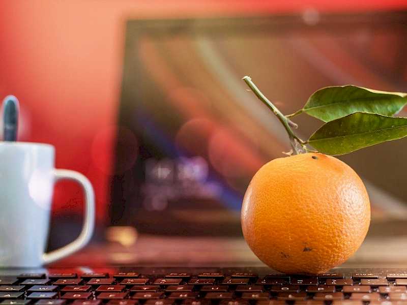 Preview image for blog post entitiled Mind Your Workplace Wellbeing