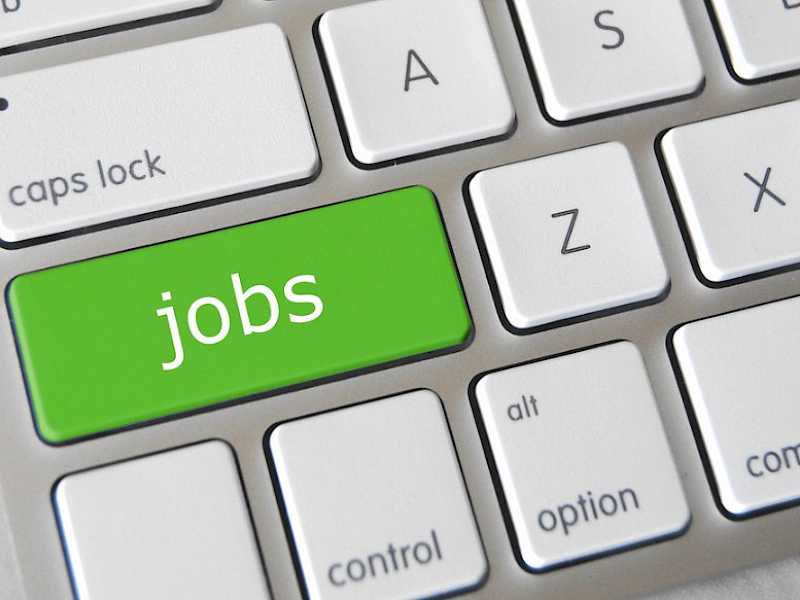 Preview image for blog post entitiled The UK's Fastest Growing Jobs