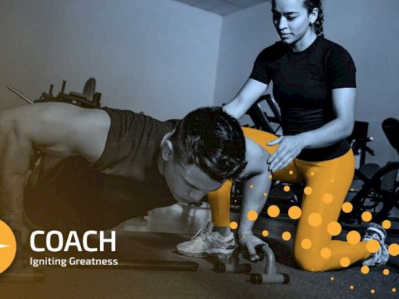 Preview image for blog post entitiled What will a Coach bring to your team?